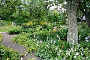 Read more about the article Asymmetrical vs. Symmetrical Gardens