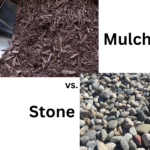 Stone vs. Mulch: Choosing the Best Soil-Cover