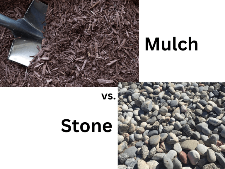 Stone vs. Mulch Choosing the Best SoilCover Jamison Lawn Care