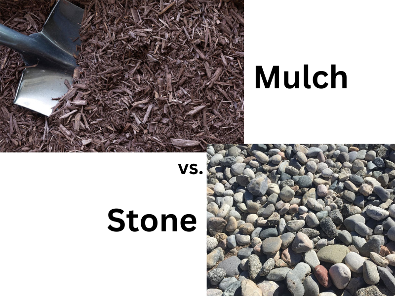 Read more about the article Stone vs. Mulch: Choosing the Best Soil-Cover