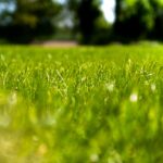 Core Aeration and Overseeding Keeps Your Lawn Happy