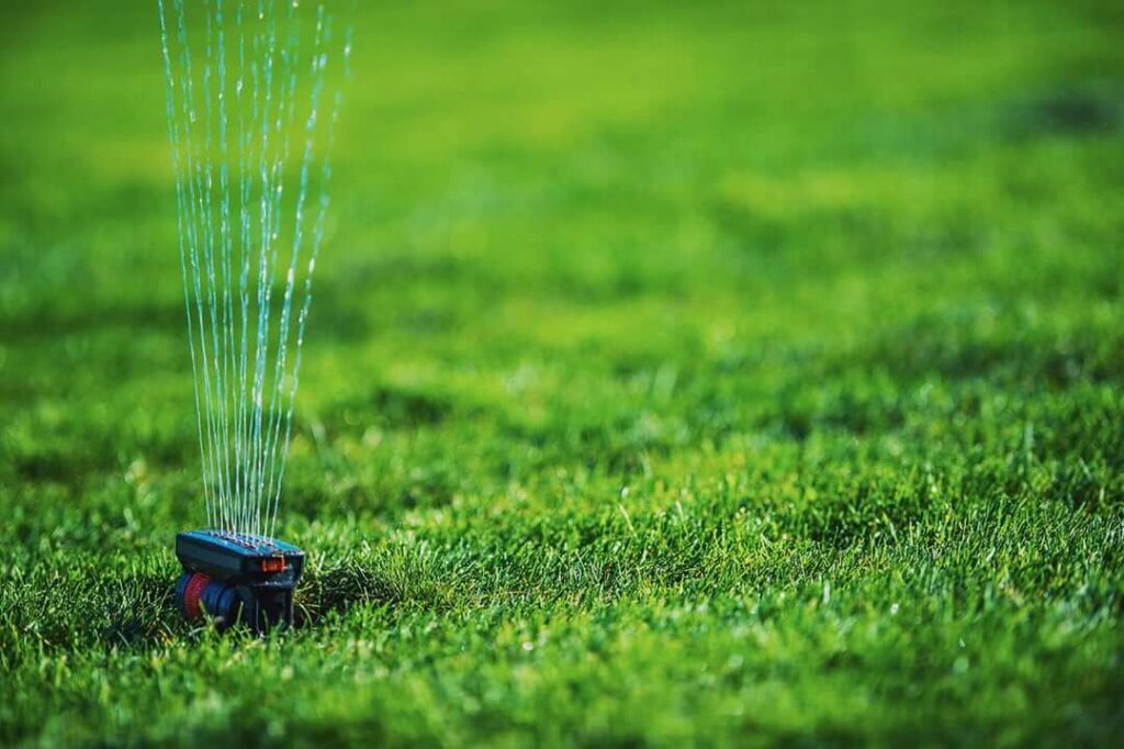Sprinkler watering lush green lawn.