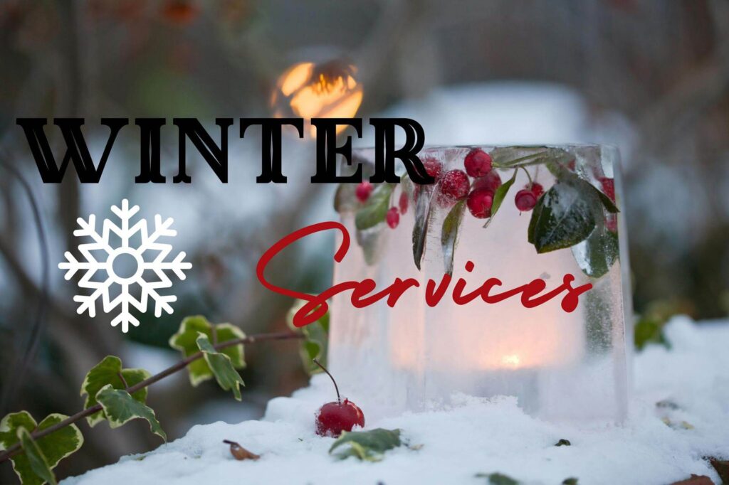 Winter Services: Snowflake & Berries