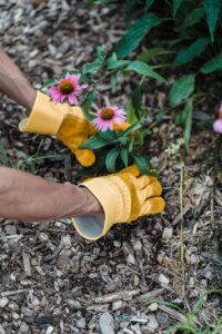Invest in Your Landscaping, Not Vacation