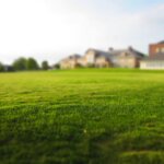 From Patchy to Perfect: How to Bring Your Lawn Back to Life This Fall