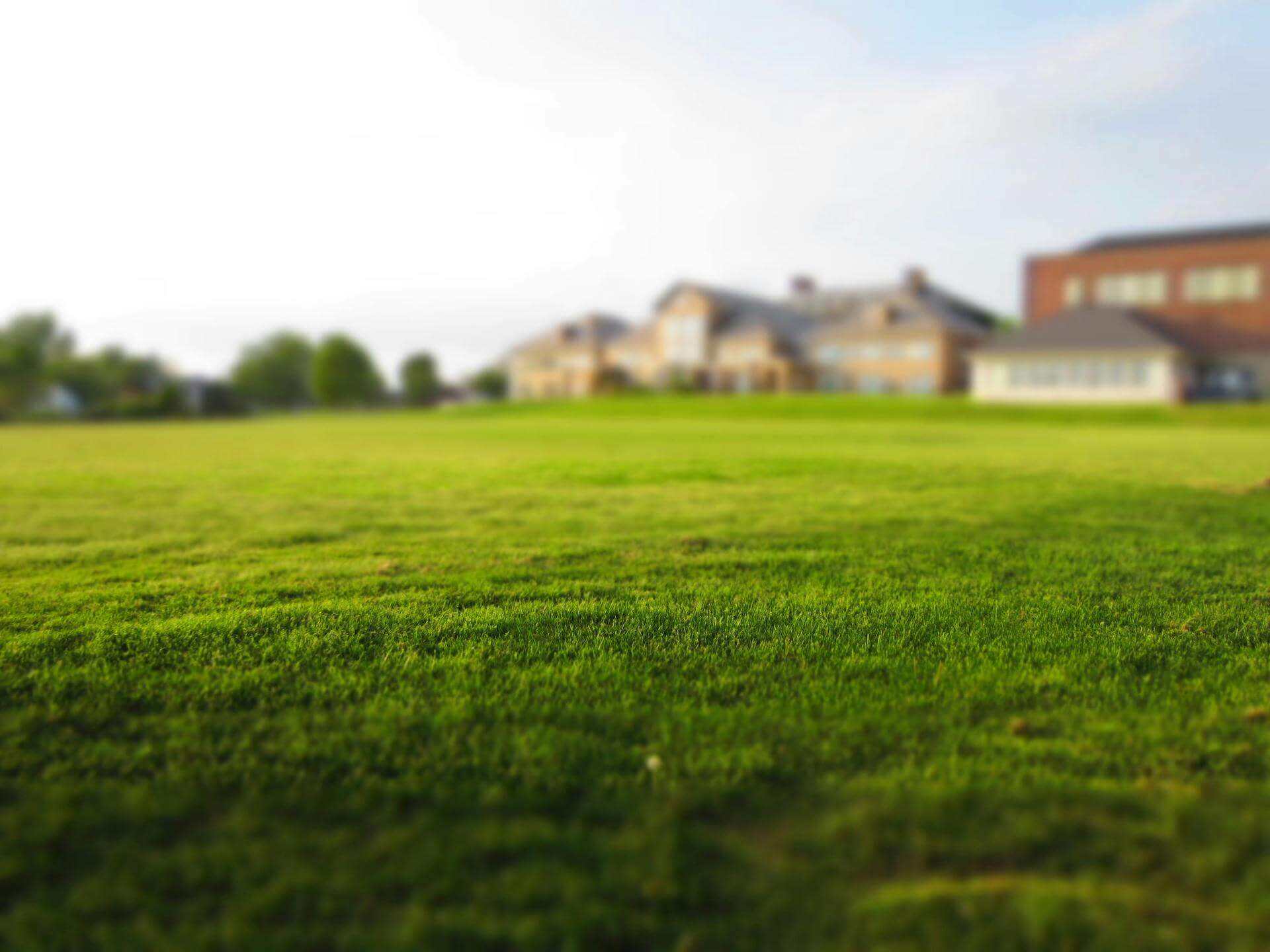You are currently viewing From Patchy to Perfect: How to Bring Your Lawn Back to Life This Fall