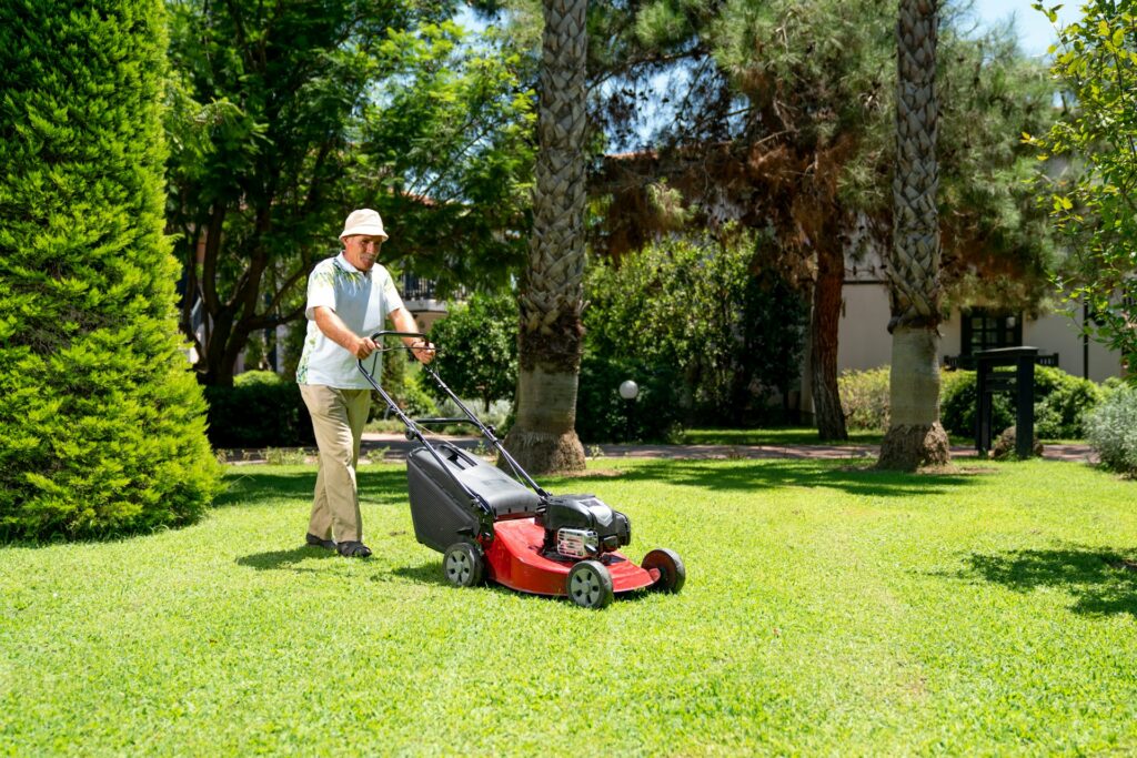 Lawn Services