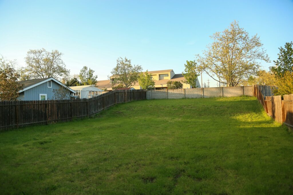 Yard Restoration