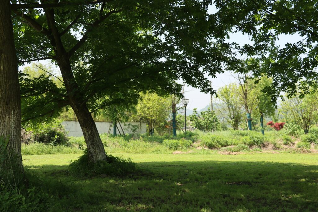 Lawn