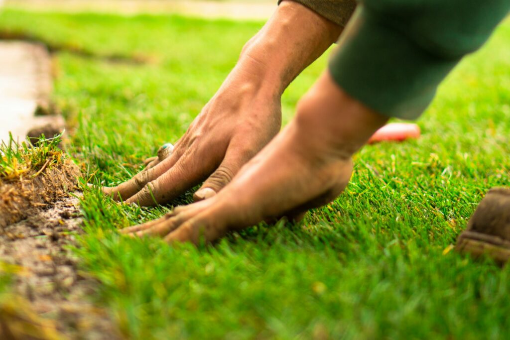 Lawn Fertilization