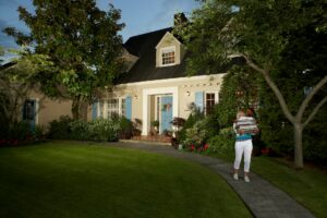 landscape design