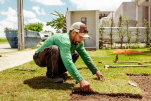 sod installation