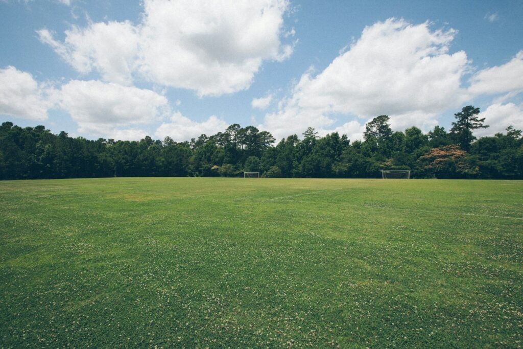 Lawn