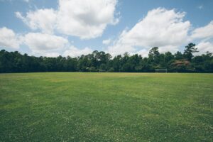 Lawn