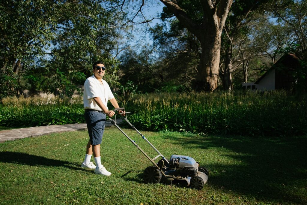 Lawn Seeding