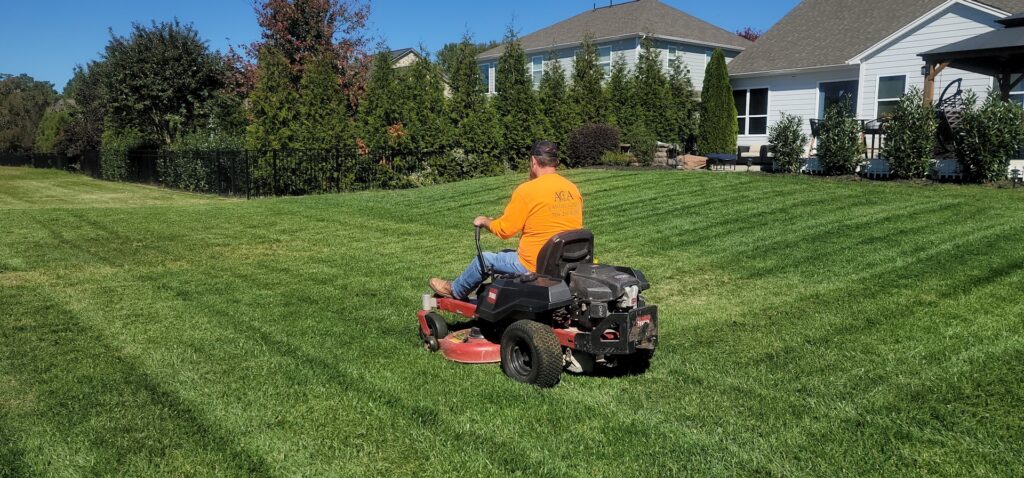 man mowing the lawn