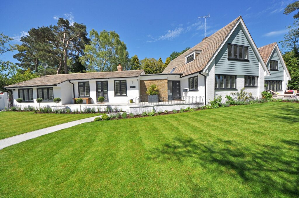 house lawn during the summer